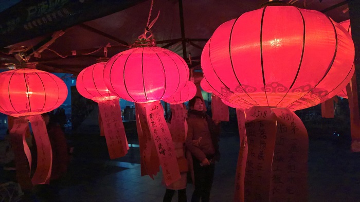 成人影视片